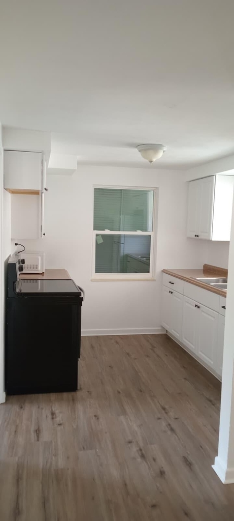 131 E Camphor Street - Photo 14