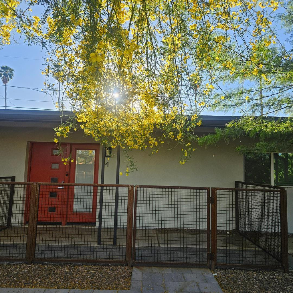 3326 N 66th Place - Photo 3