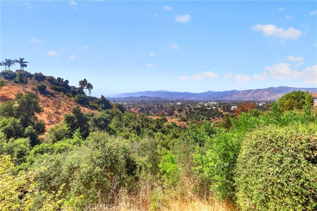 807 Avenida Loma Vista - Photo 40