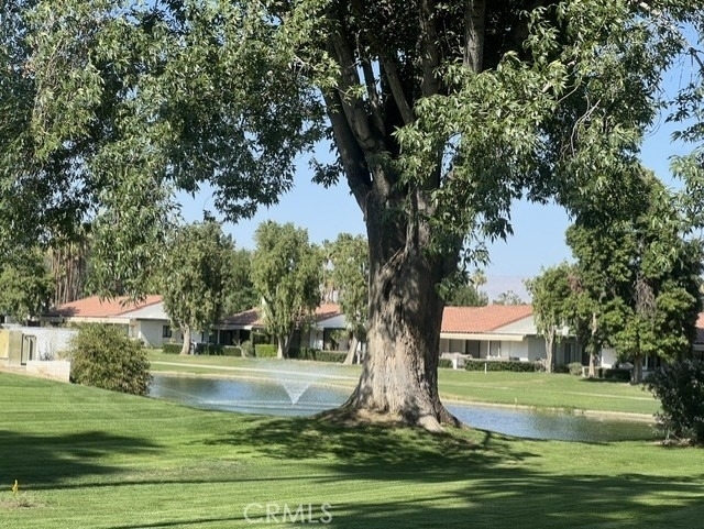 68 El Toro - Photo 13
