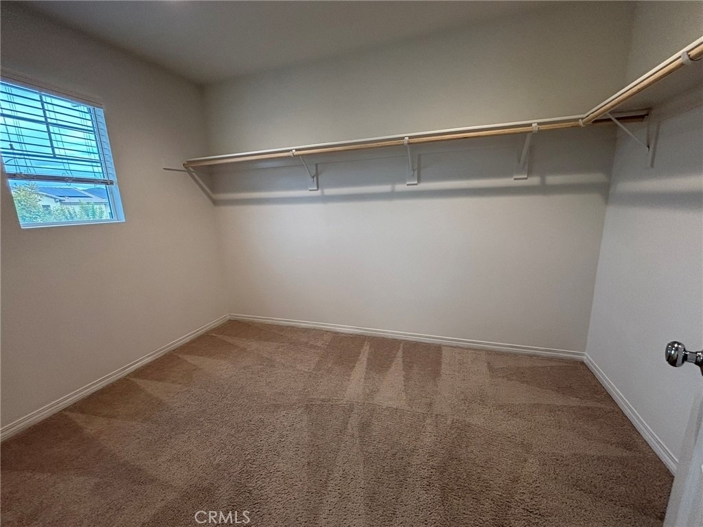27293 Fielder Road - Photo 15