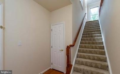 4647 Red Admiral Way - Photo 43