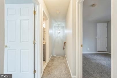 4647 Red Admiral Way - Photo 6