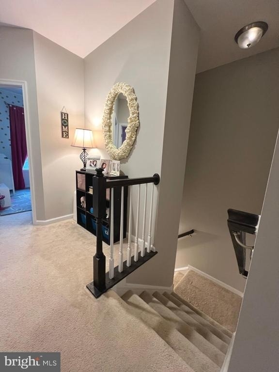 4550 Tinder Box Circle - Photo 18