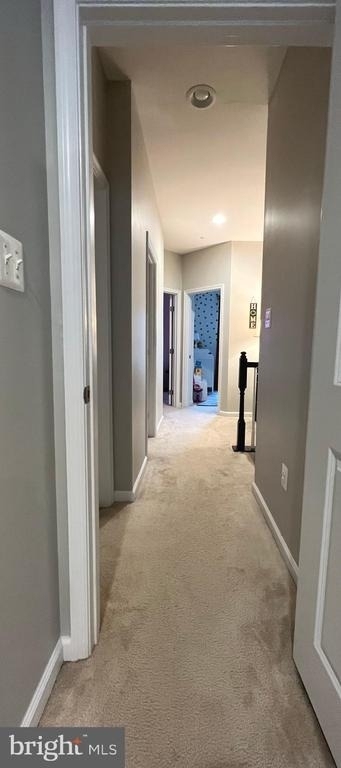 4550 Tinder Box Circle - Photo 26