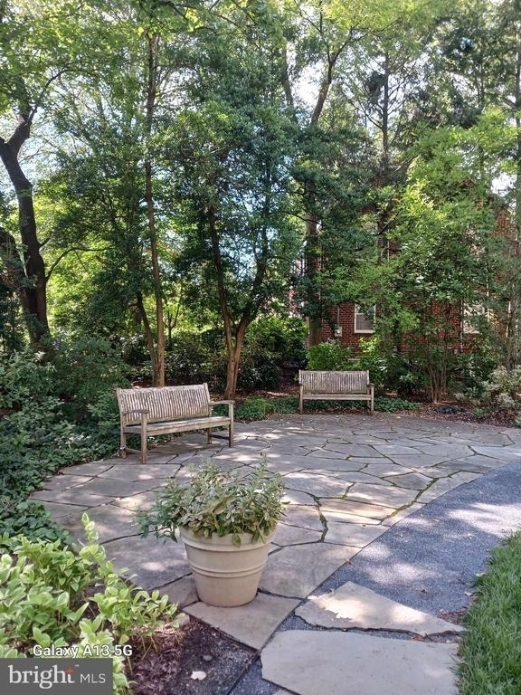 4600 Connecticut Avenue Nw - Photo 20