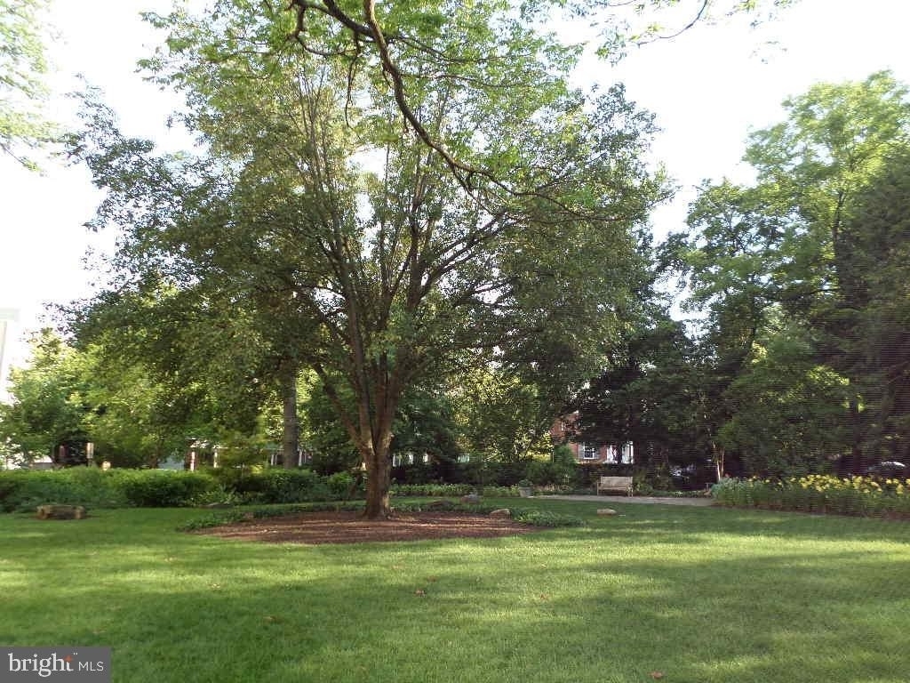 4600 Connecticut Avenue Nw - Photo 17