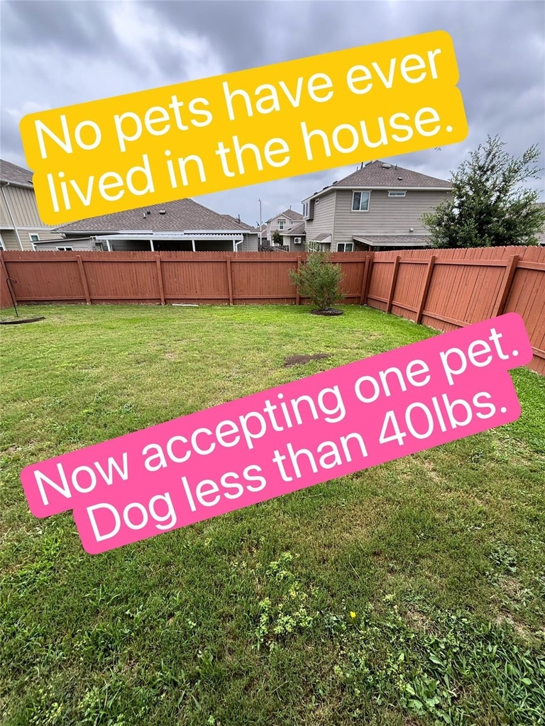 10305 Forest Grove Dr - Photo 38