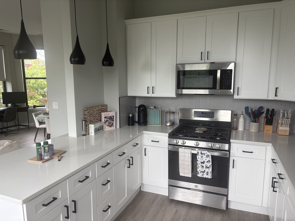 1456 W Addison Street - Photo 6
