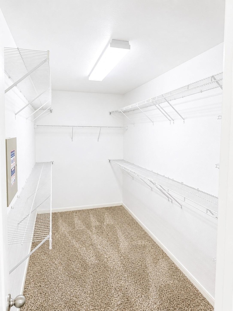 7434 Tonsley Springs Drive - Photo 11