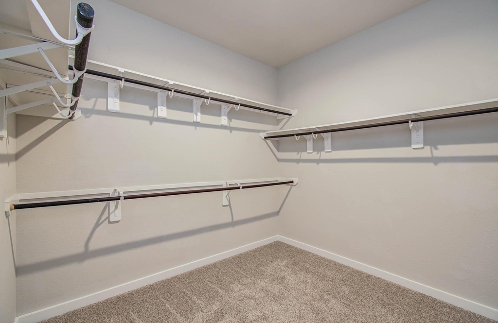 28511 Eli Eagle Street - Photo 26