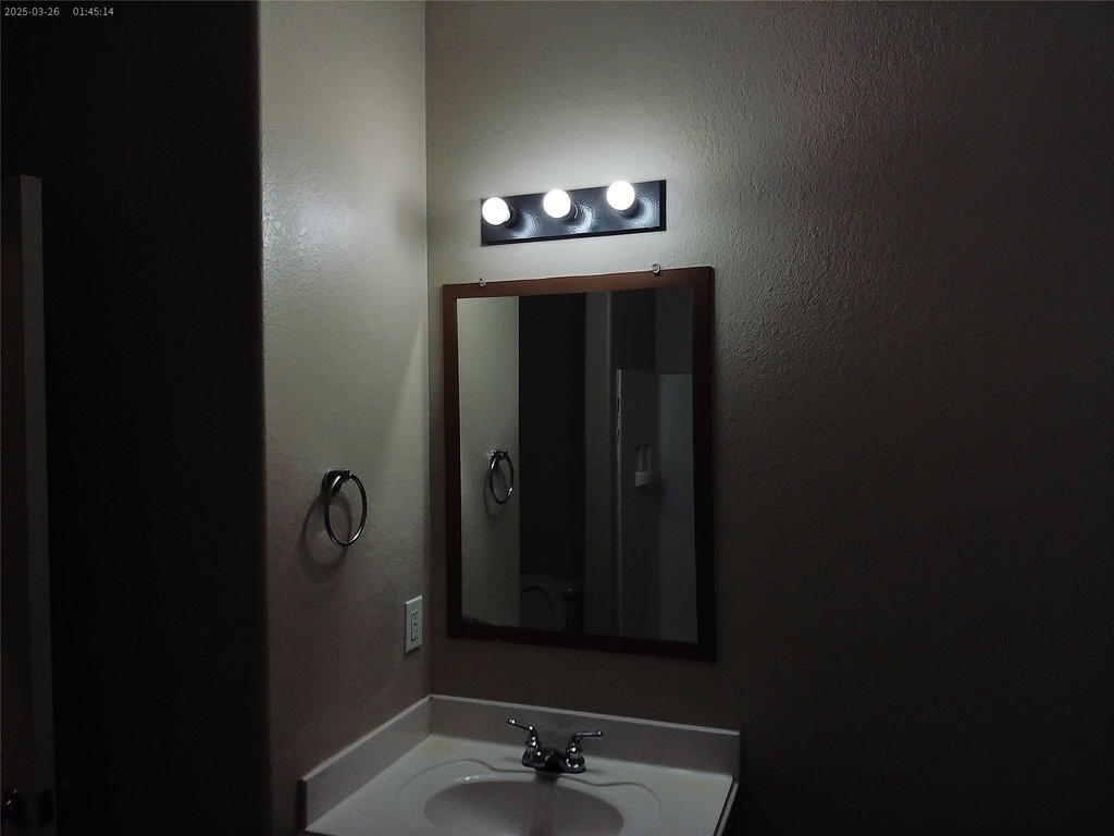 3311 Siebinthaler Lane - Photo 16