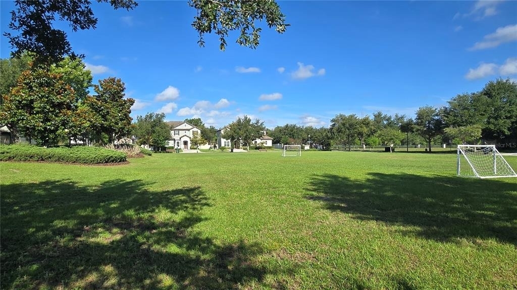 17514 Black Rail Street - Photo 40