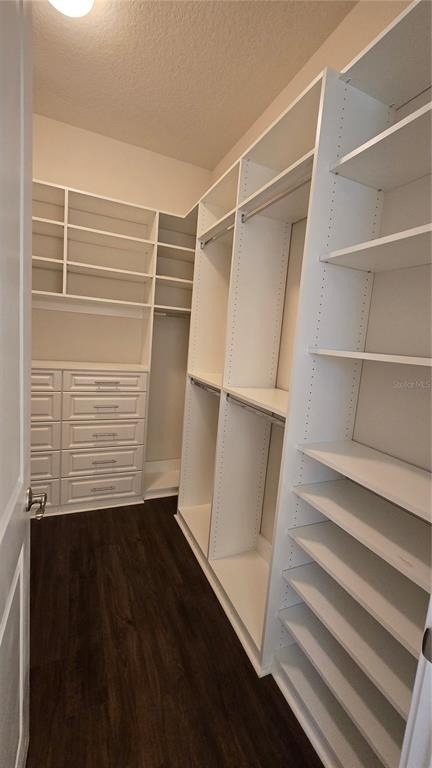 17514 Black Rail Street - Photo 16