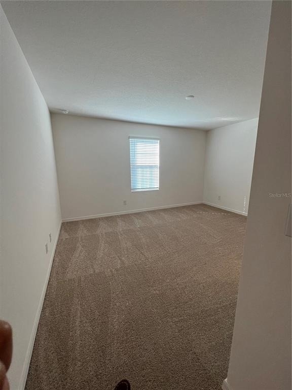 435 Annabelle Way - Photo 12