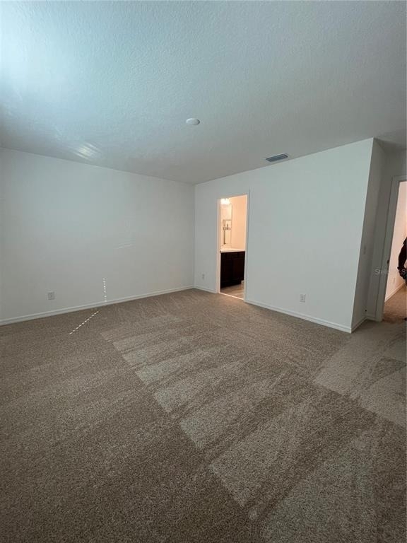 435 Annabelle Way - Photo 13
