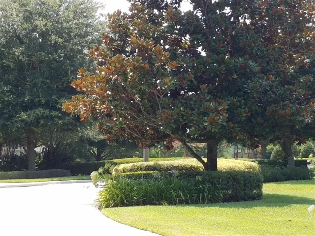 5105 Sicily Cove - Photo 33