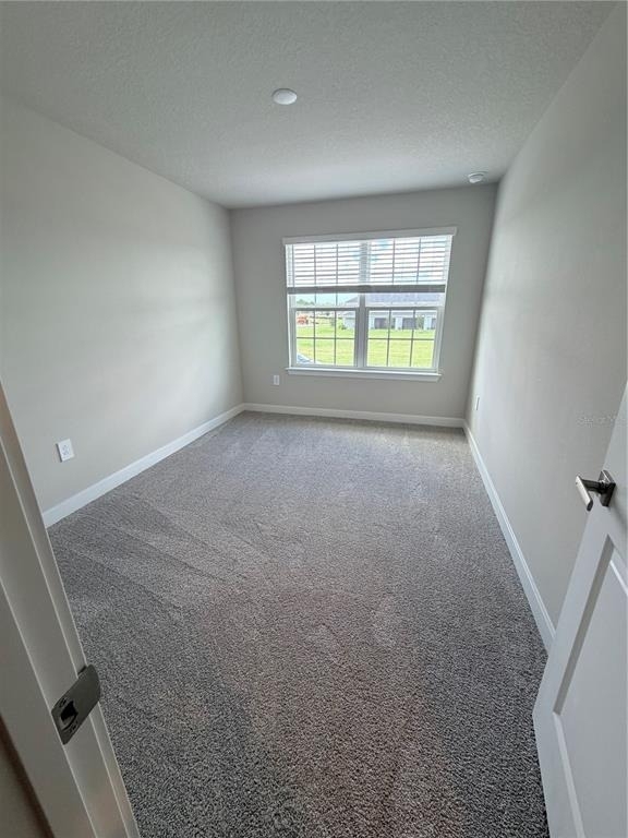 12314 Amber Creek Circle - Photo 25