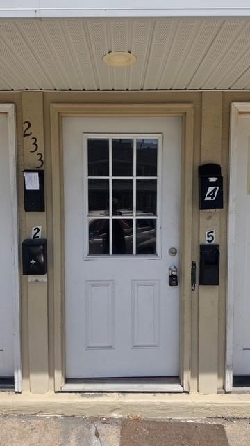 233 Ridge Street - Photo 9