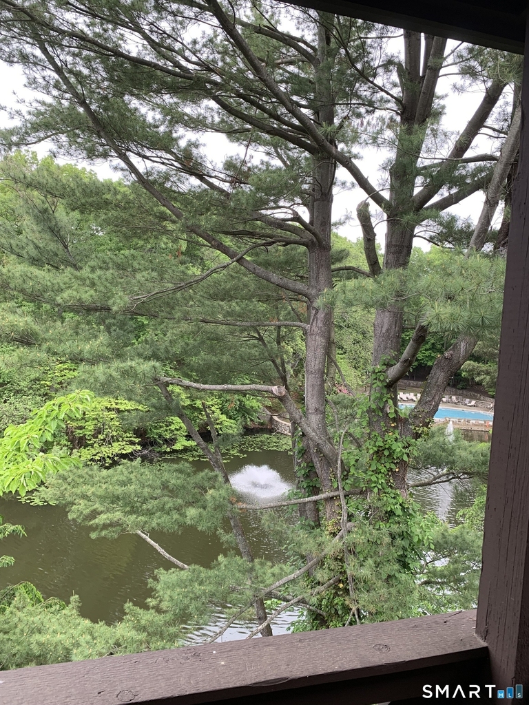 50 Aiken Street - Photo 8