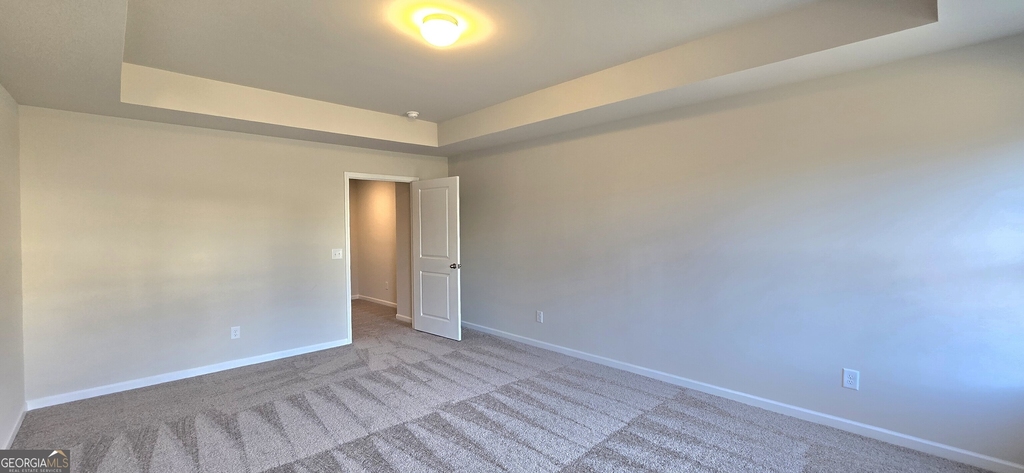 41 Sepia Oak Drive - Photo 16