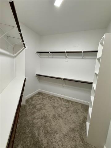 204 Flower Ridge Drive - Photo 23