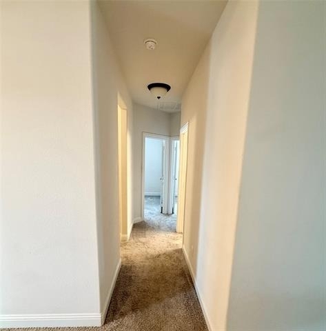 204 Flower Ridge Drive - Photo 7