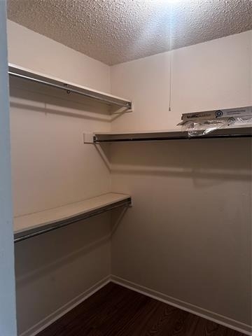 728 Redbird Lane - Photo 10