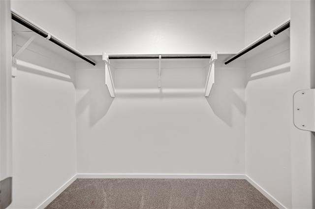 1211 Canyon Wren Drive - Photo 6