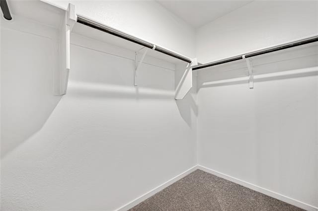 1211 Canyon Wren Drive - Photo 23