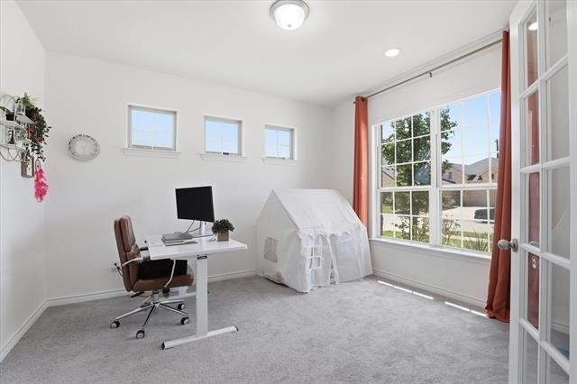 509 Cedarwood Street - Photo 3