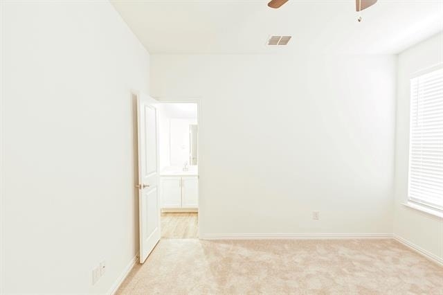 3104 Palmetto Place - Photo 39