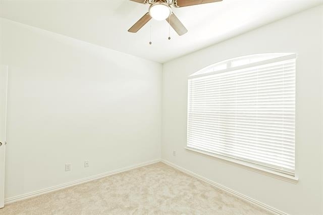 3104 Palmetto Place - Photo 28