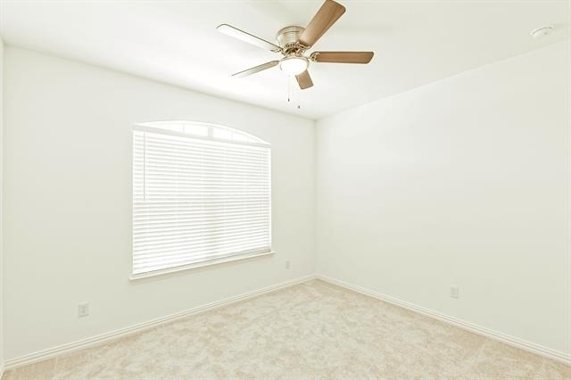 3104 Palmetto Place - Photo 26