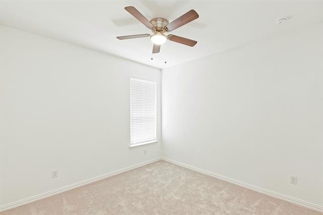 3104 Palmetto Place - Photo 32