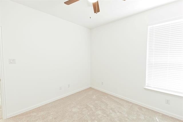 3104 Palmetto Place - Photo 34