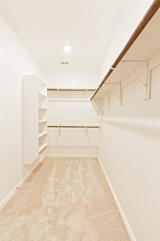 3104 Palmetto Place - Photo 22