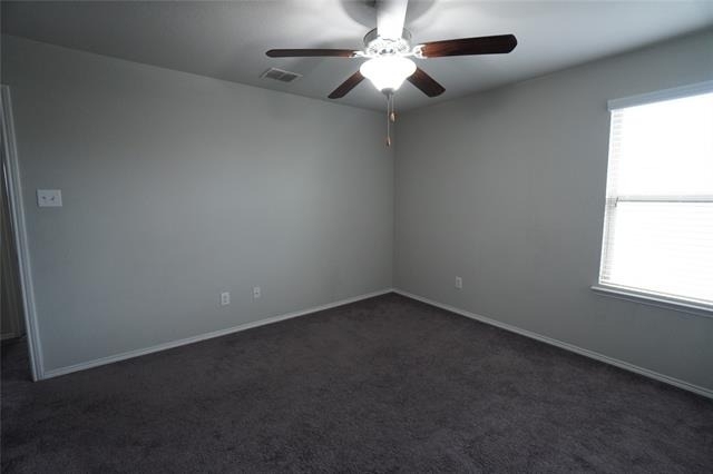 4005 Indian Paintbrush Lane - Photo 21