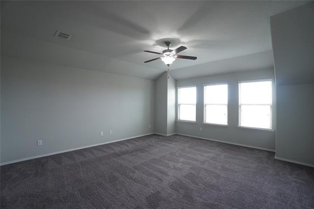4005 Indian Paintbrush Lane - Photo 24