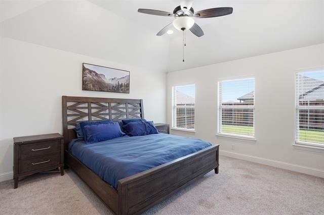 820 Boomer Lane - Photo 15
