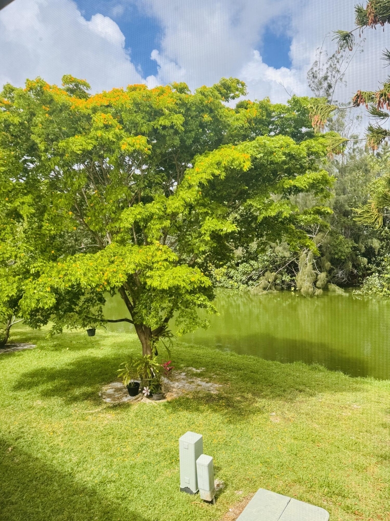 16 Windsor A - Photo 10