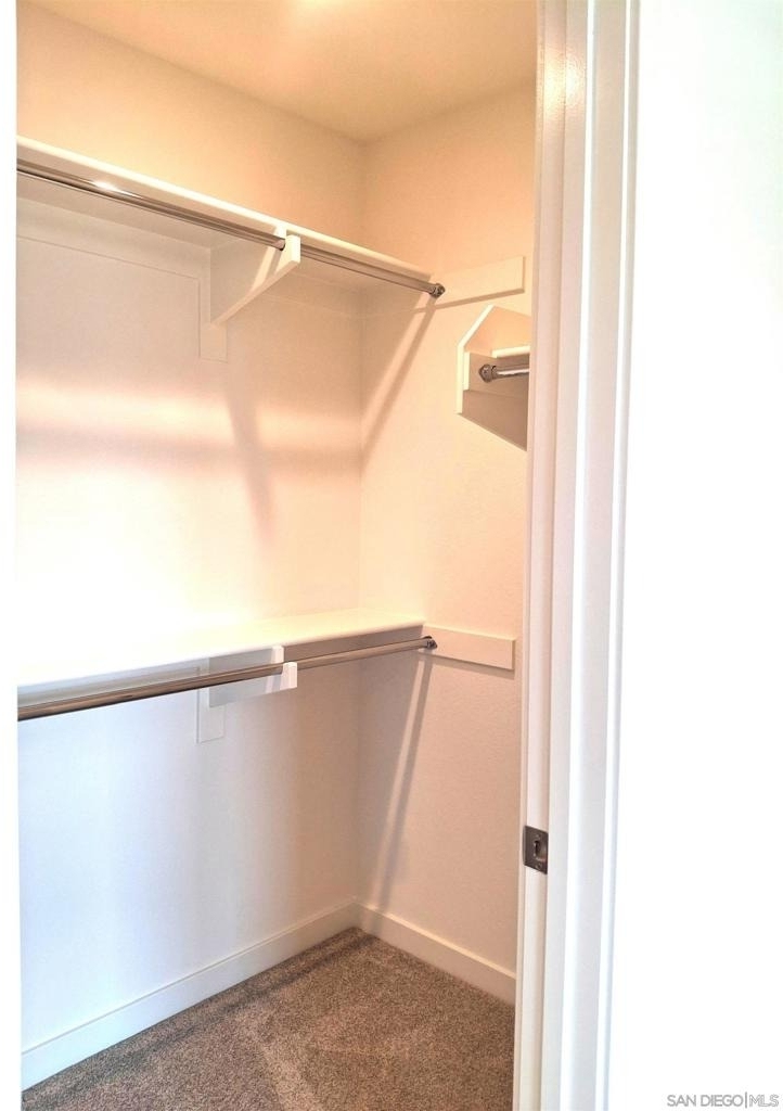 2586 Delphinium - Photo 18