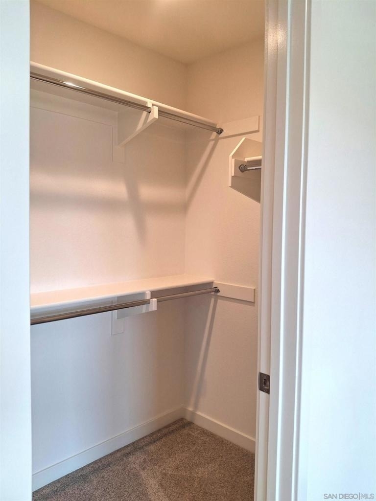 2586 Delphinium - Photo 14