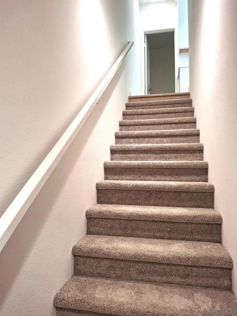 2586 Delphinium - Photo 11