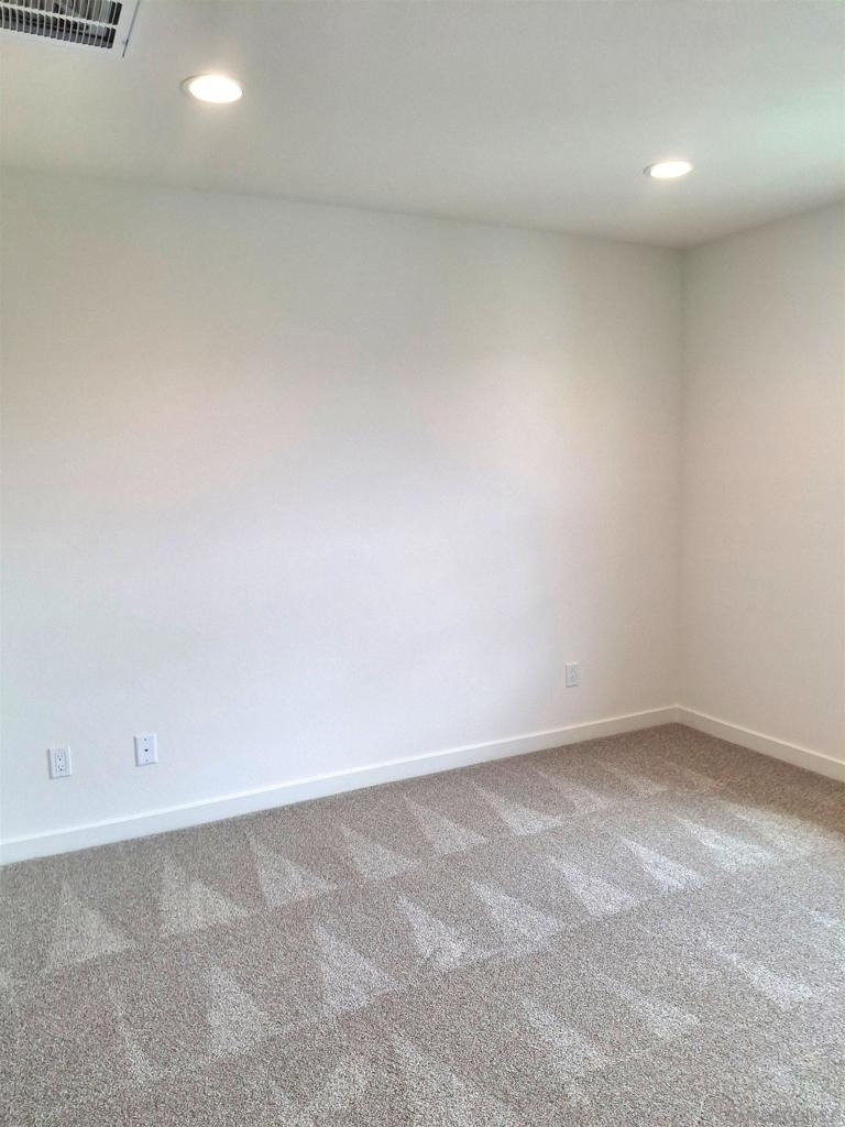 2586 Delphinium - Photo 13