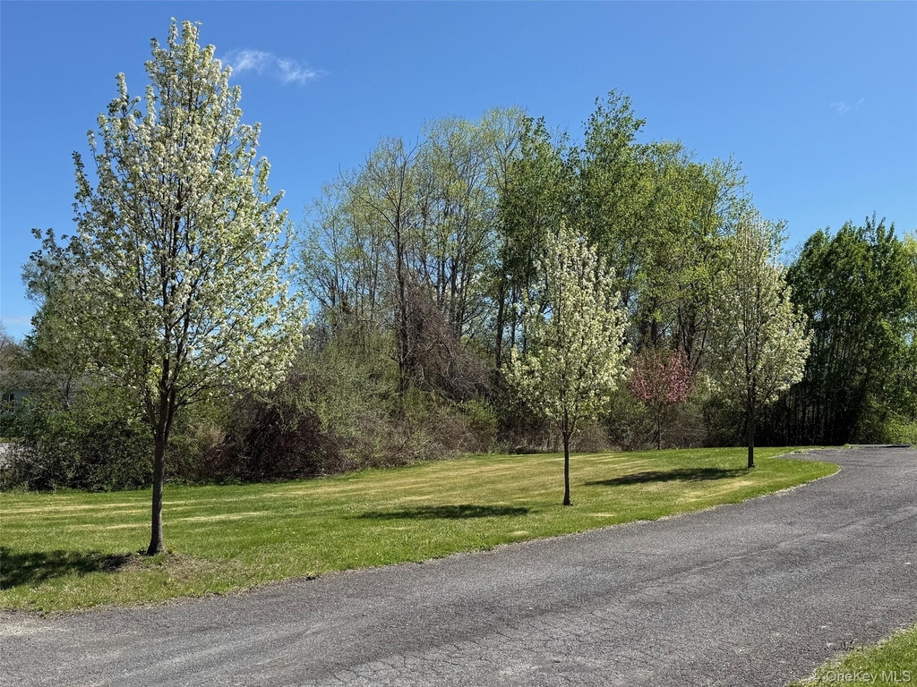 24 Mountain View Road - Photo 12