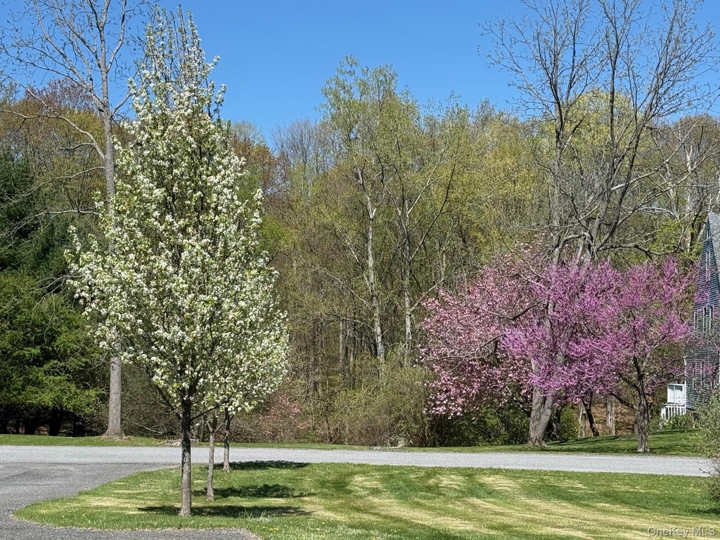 24 Mountain View Road - Photo 10