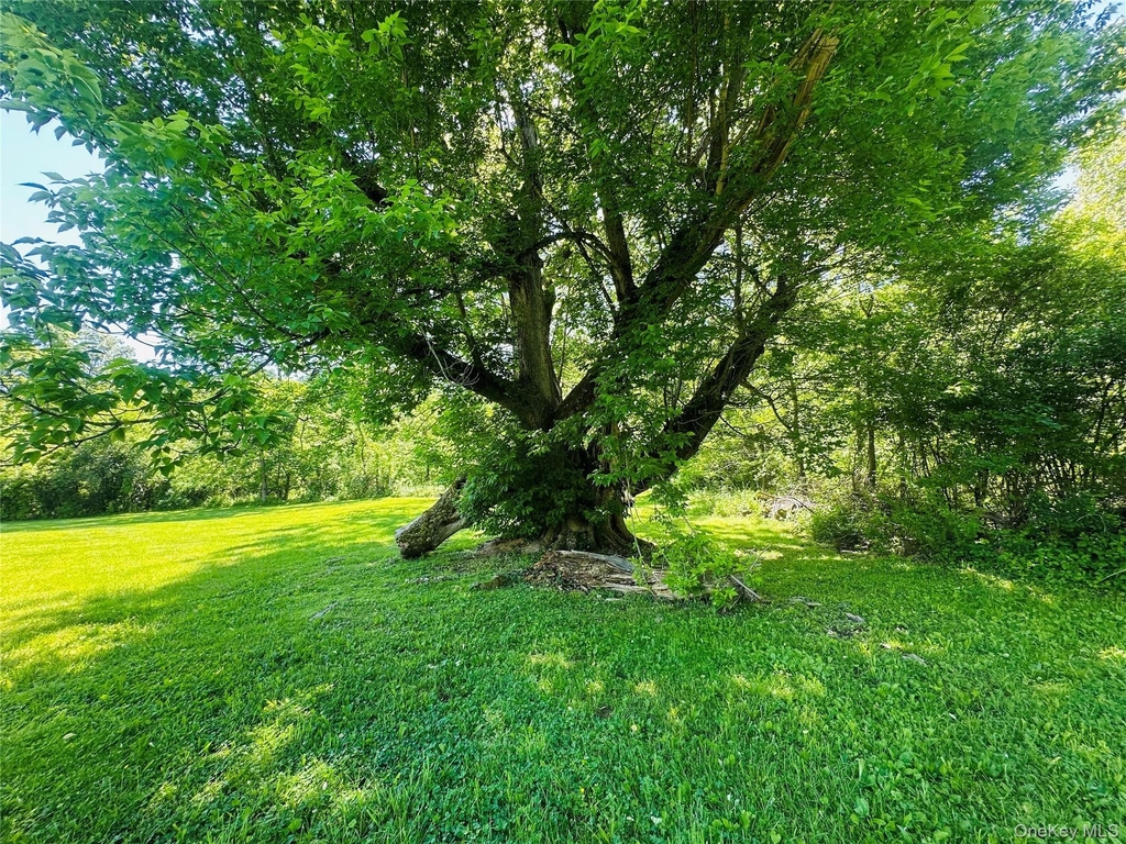 26 Spring St - Photo 27