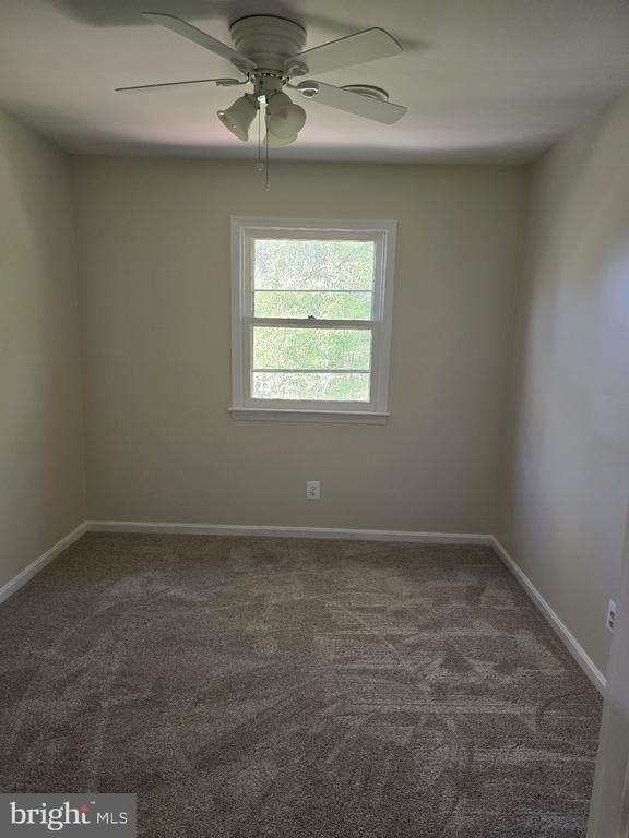 439 Ridgemore - Photo 12