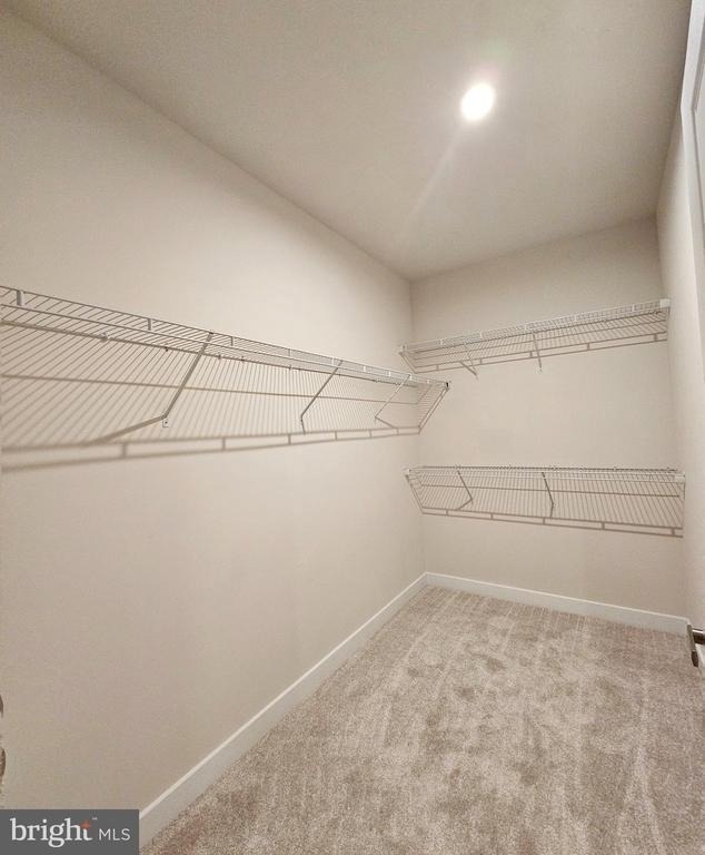 46320 Mount Milstead Terrace - Photo 10